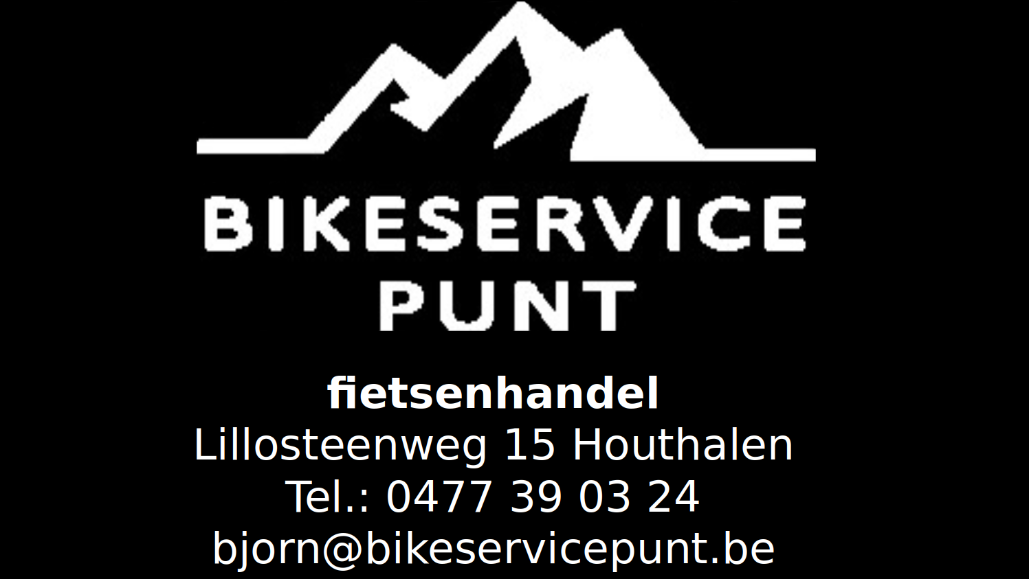 bikesservice_punt
